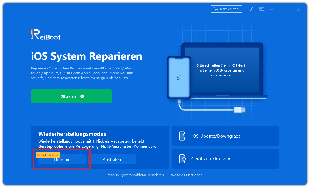 ipad in wiederherstellung modus