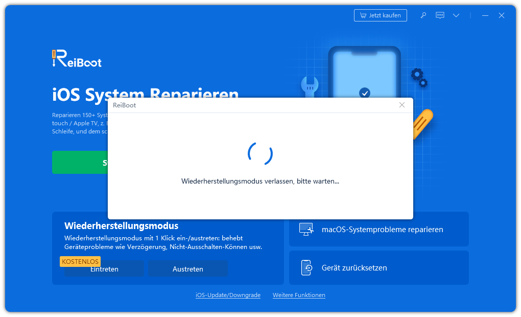 wartungszustand verlassen